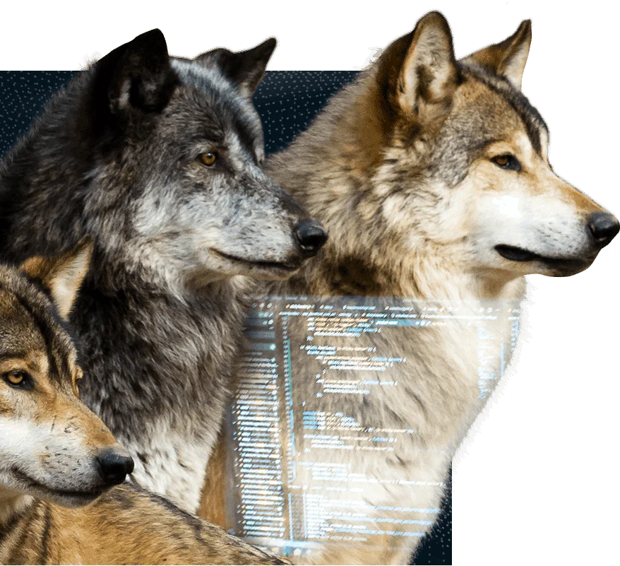 transformacao-digital-1